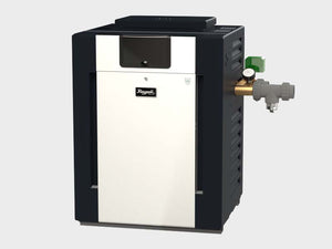 Raypak Professional 408 ASME pool heater, front view of the bronze-header cabinet