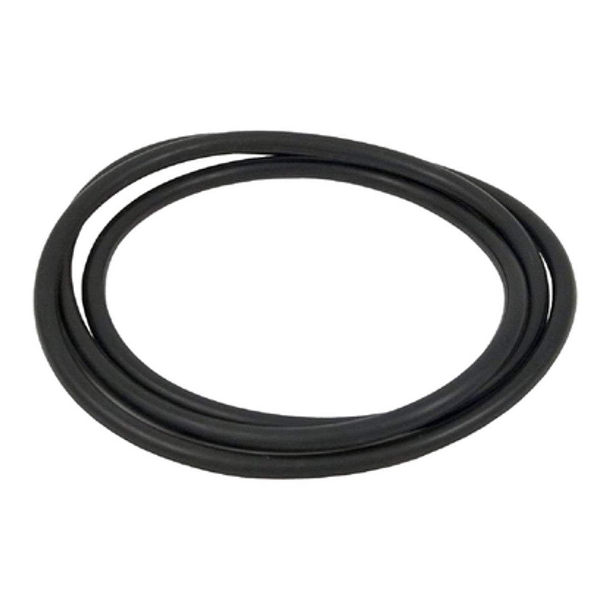 Hayward CCX1000G Body O-Ring, product photo on white background