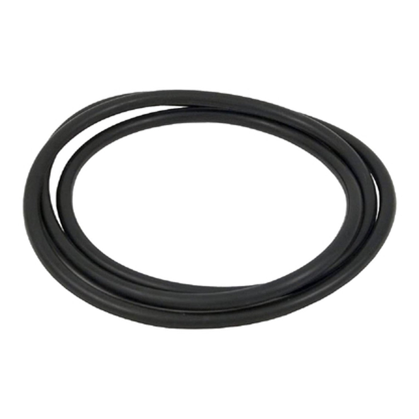 Hayward CCX1000G Body O-Ring, product photo on white background