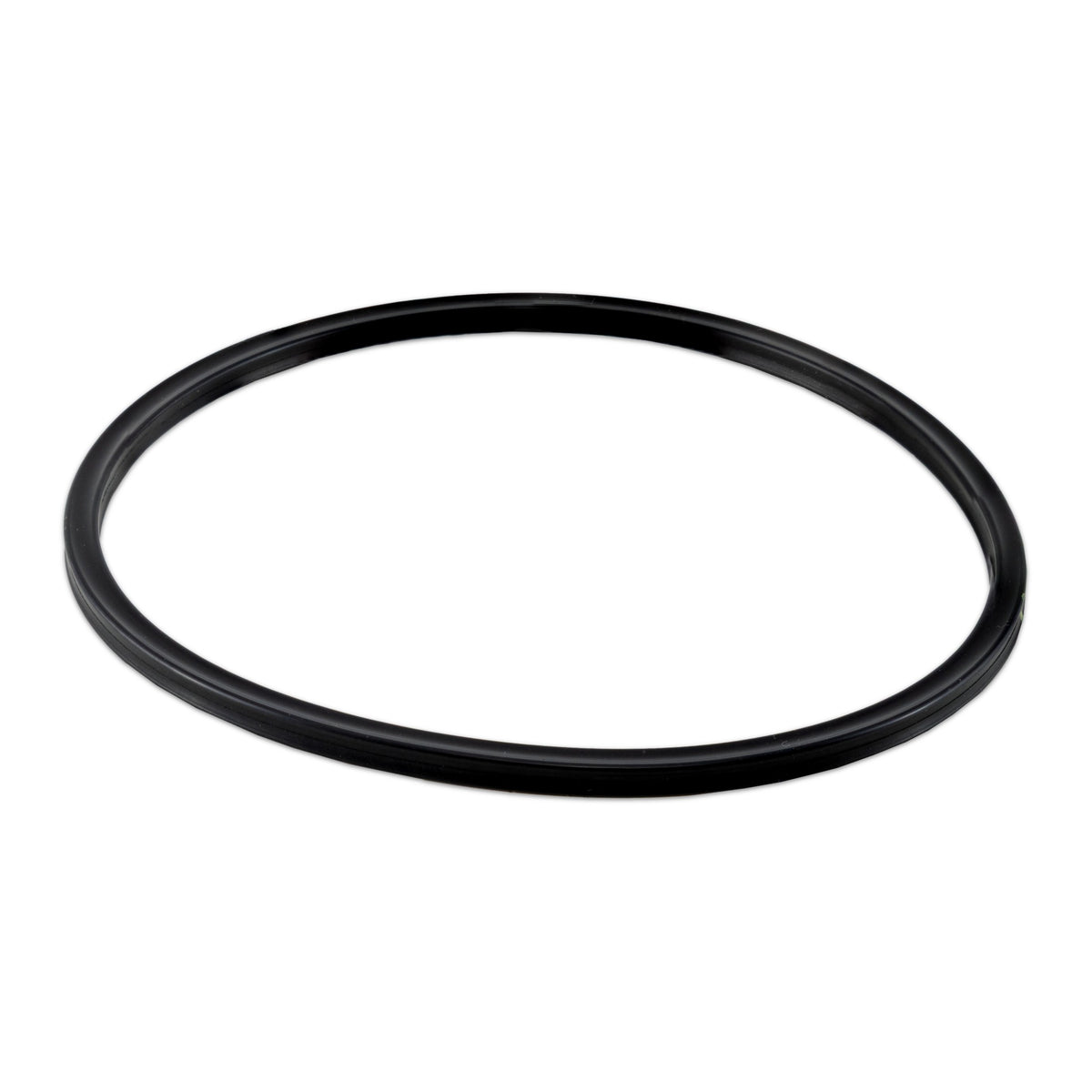 Hayward CLX200K Cover O-Ring, Viton, product photo on white background