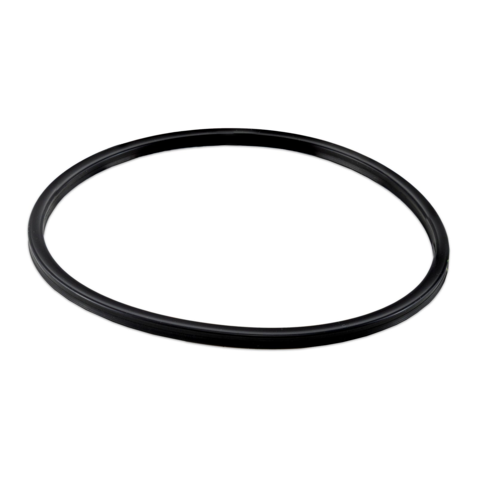 Hayward CLX200K Cover O-Ring, Viton, product photo on white background