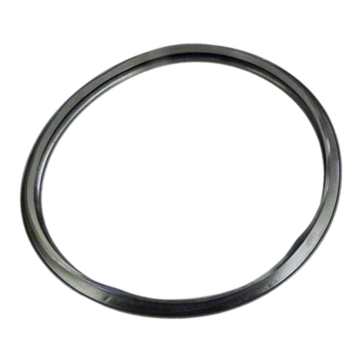 Hayward CX250F Star-Clear Filter Gasket, product photo on white background