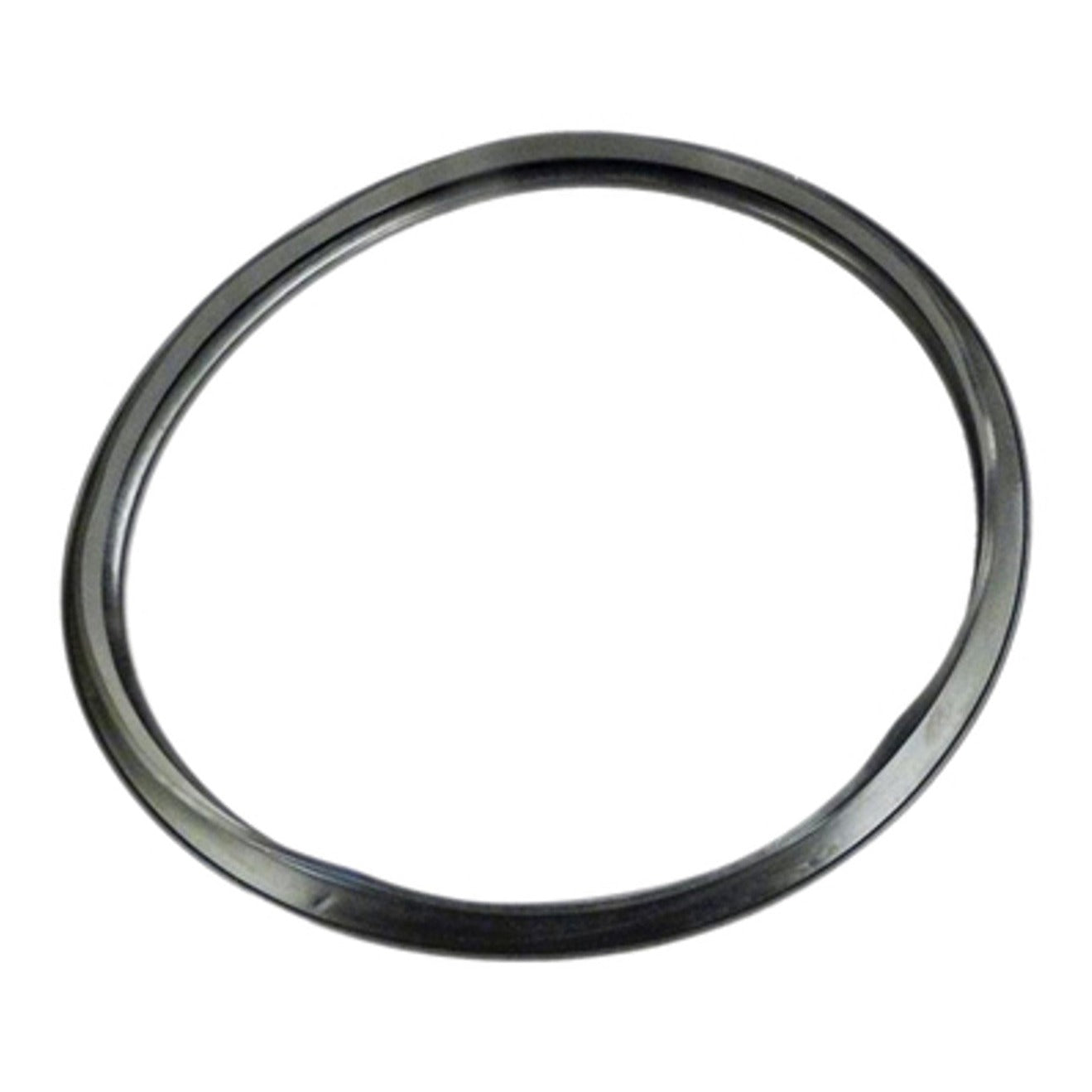 Hayward CX250F Star-Clear Filter Gasket, product photo on white background