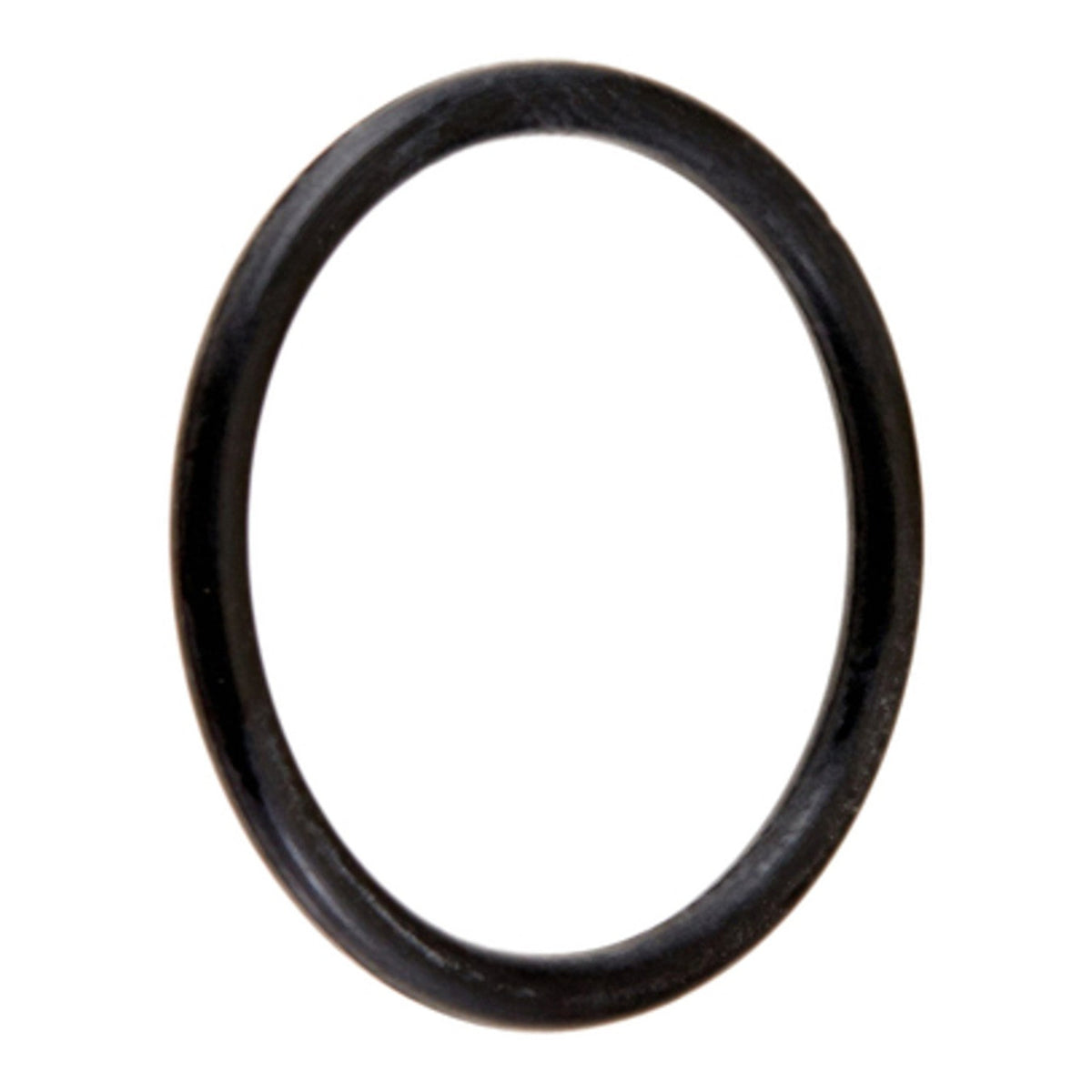 Hayward CX250Z7 Locking Knob O-Ring, product photo on white background