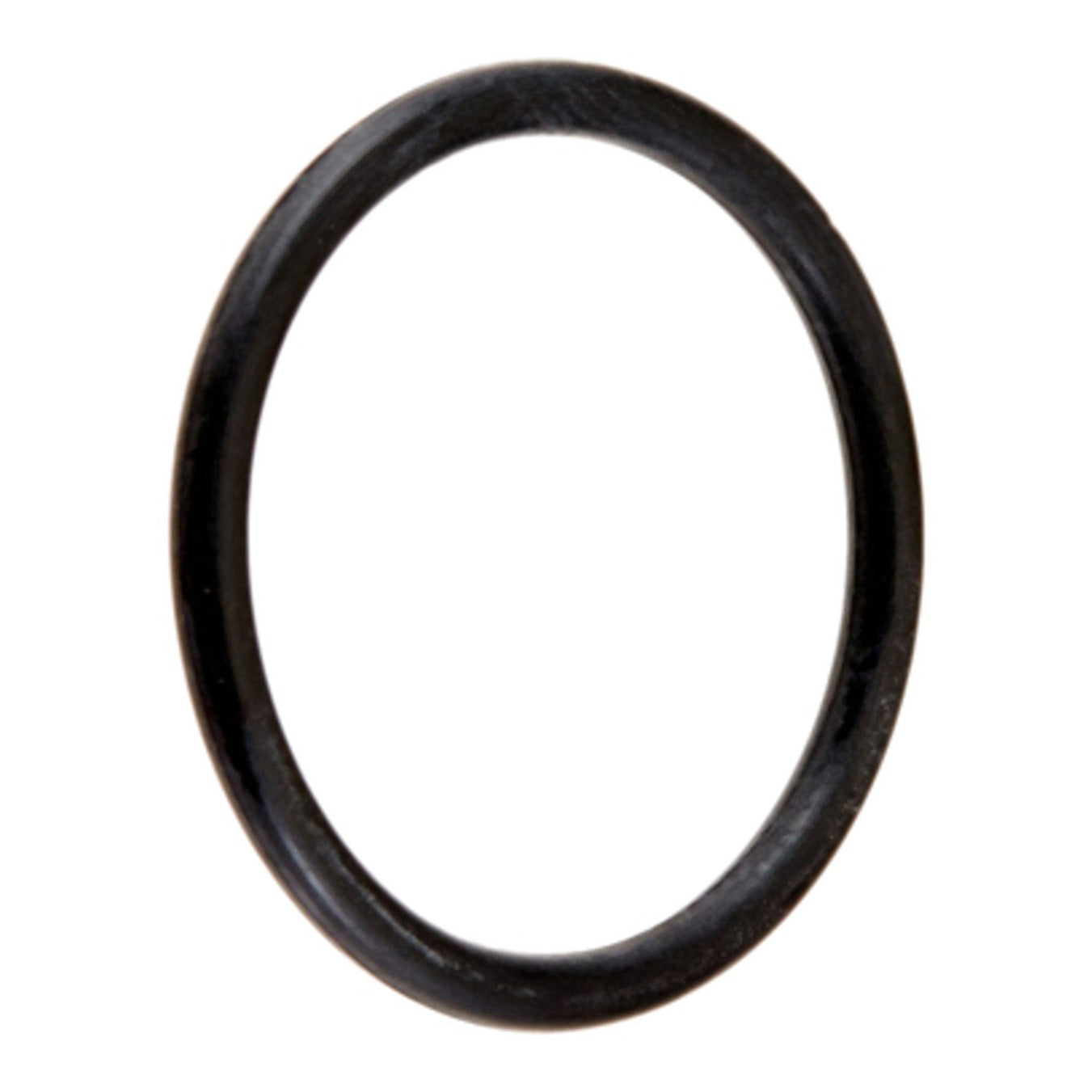Hayward CX250Z7 Locking Knob O-Ring, product photo on white background