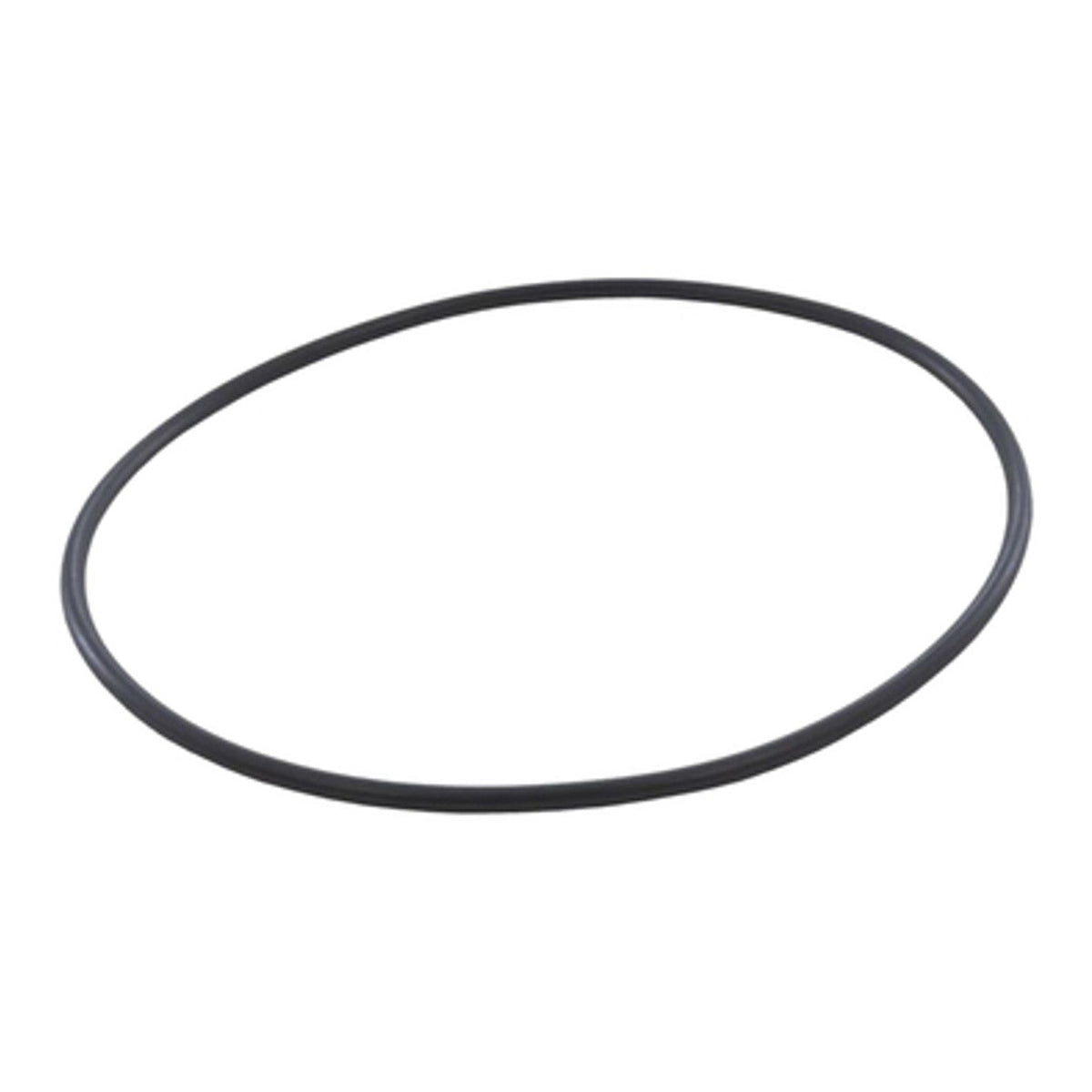 Hayward CX400G Cover O-Ring NS & Easy Clear, product photo on white background