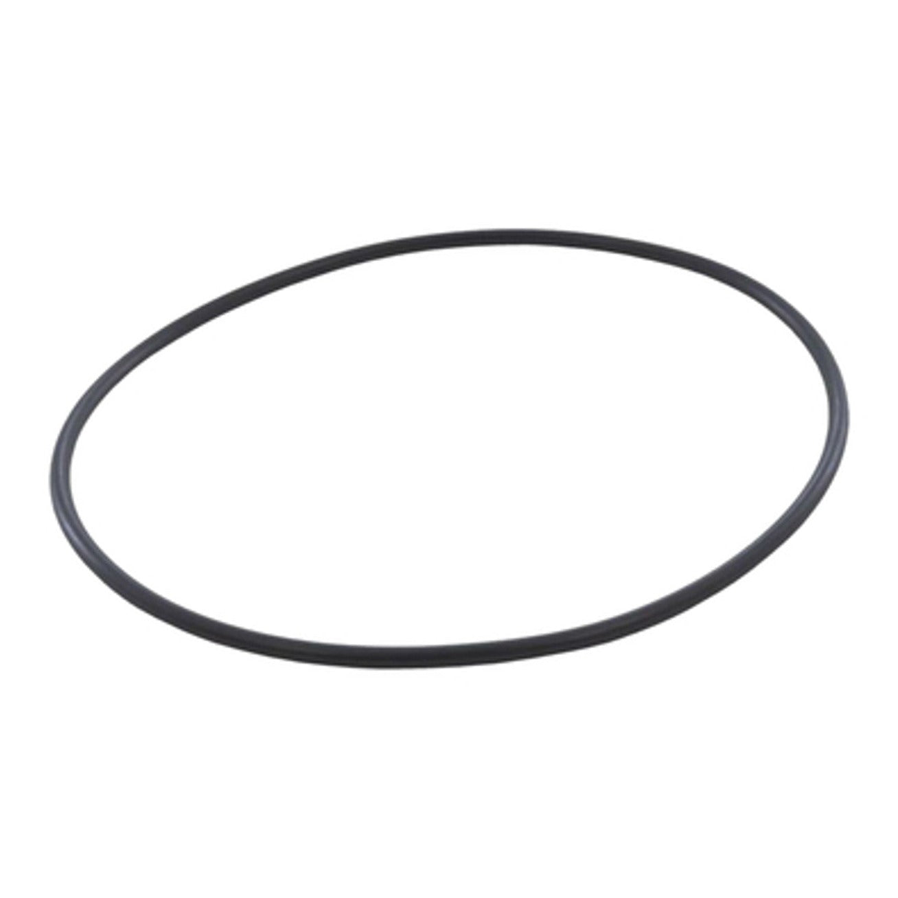 Hayward CX400G Cover O-Ring NS & Easy Clear, product photo on white background