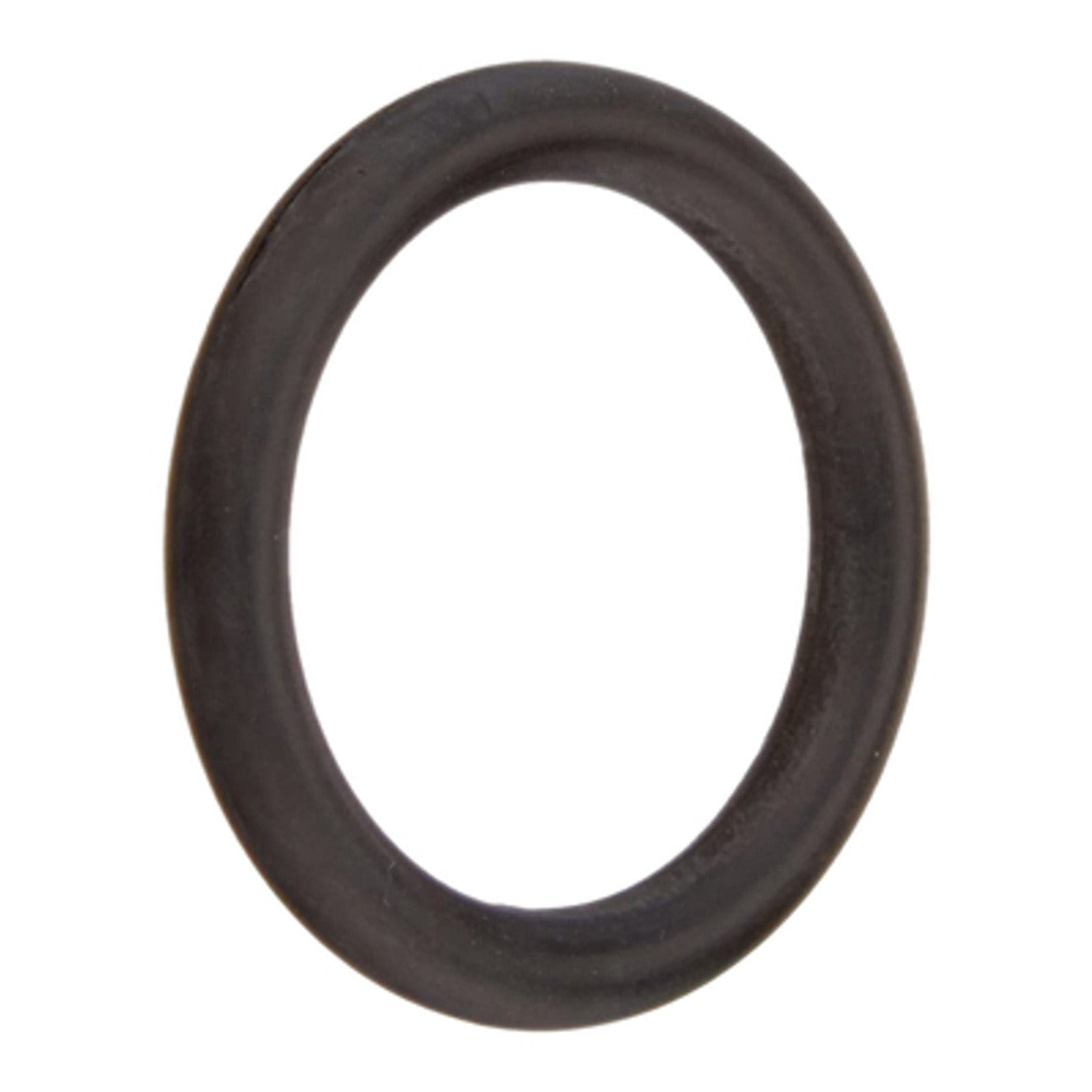 Hayward CX900H Star-Clear Plus Knob O-Ring, product photo on white background