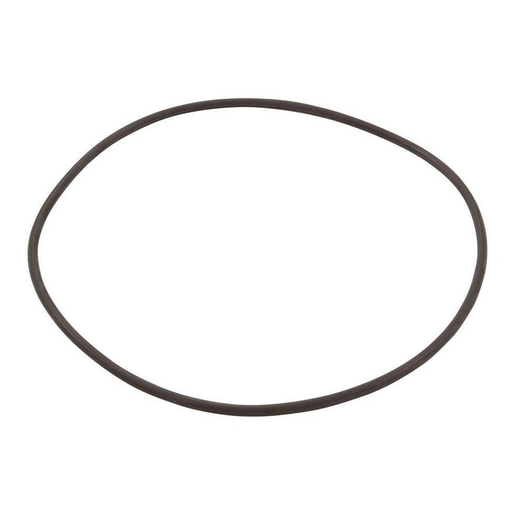 Hayward CXFHR1001 O-Ring for Filter Head, product photo on white background