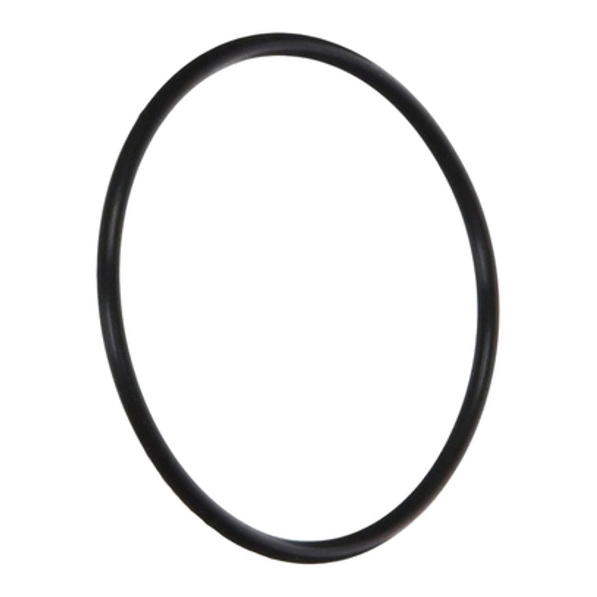Hayward ECX1287 Gauge Adapter O-Ring, product photo on white background