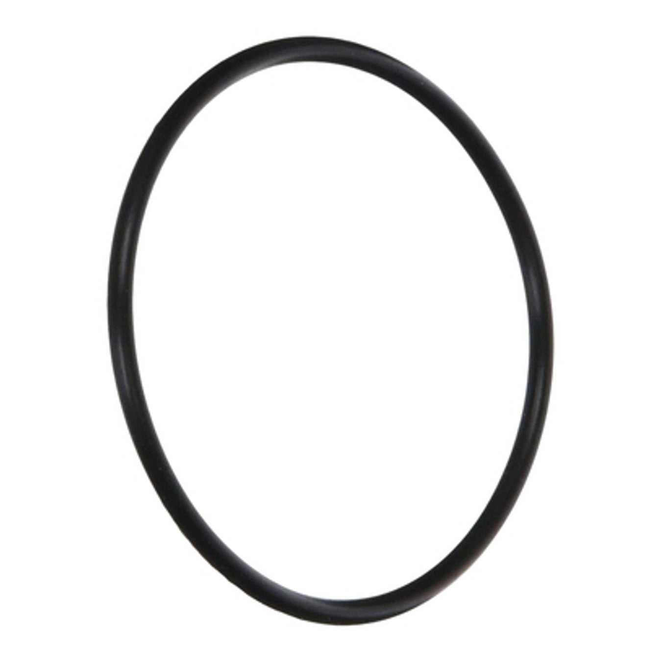 Hayward ECX1287 Gauge Adapter O-Ring, product photo on white background