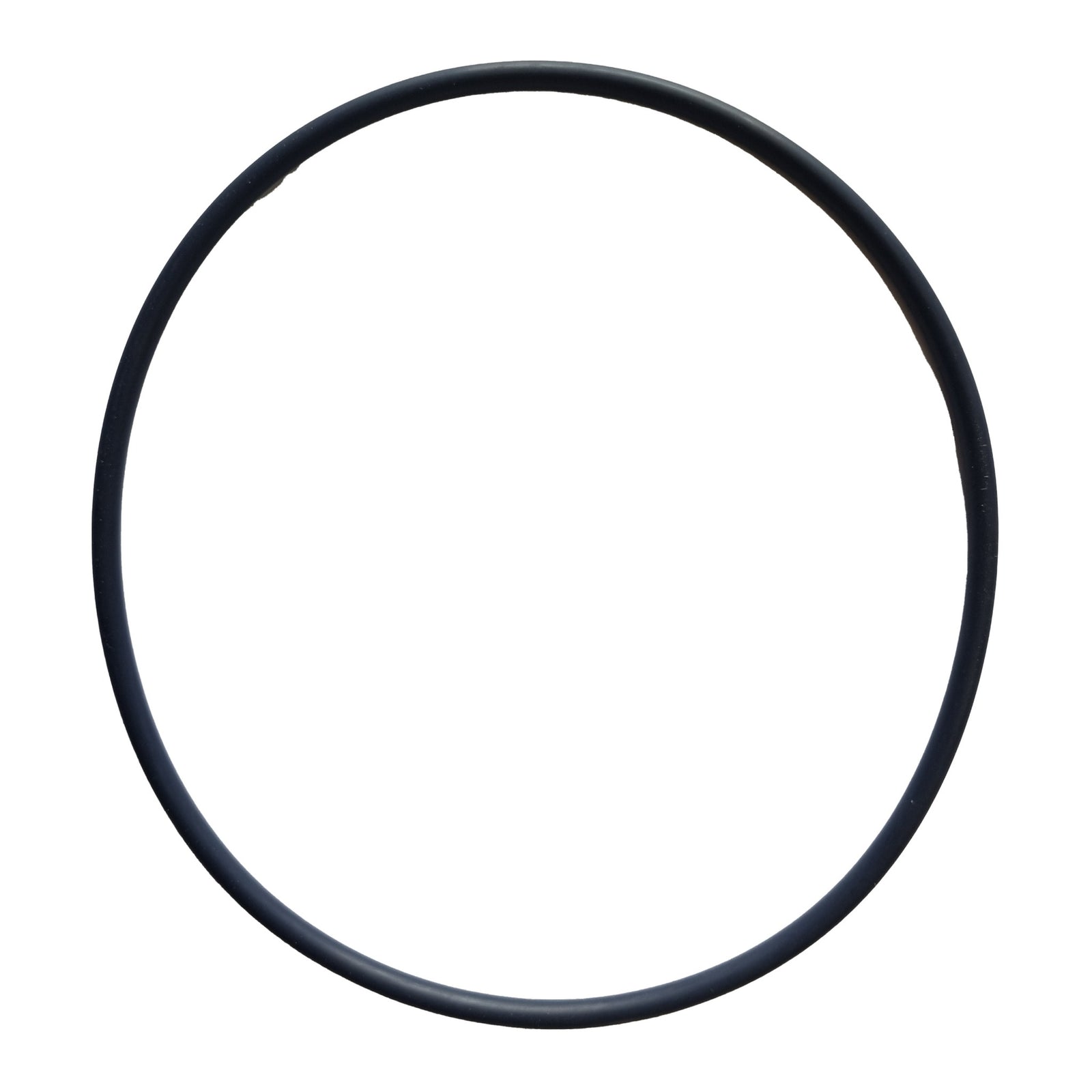 Hayward GMX600F Valve O-Ring, product photo on white background