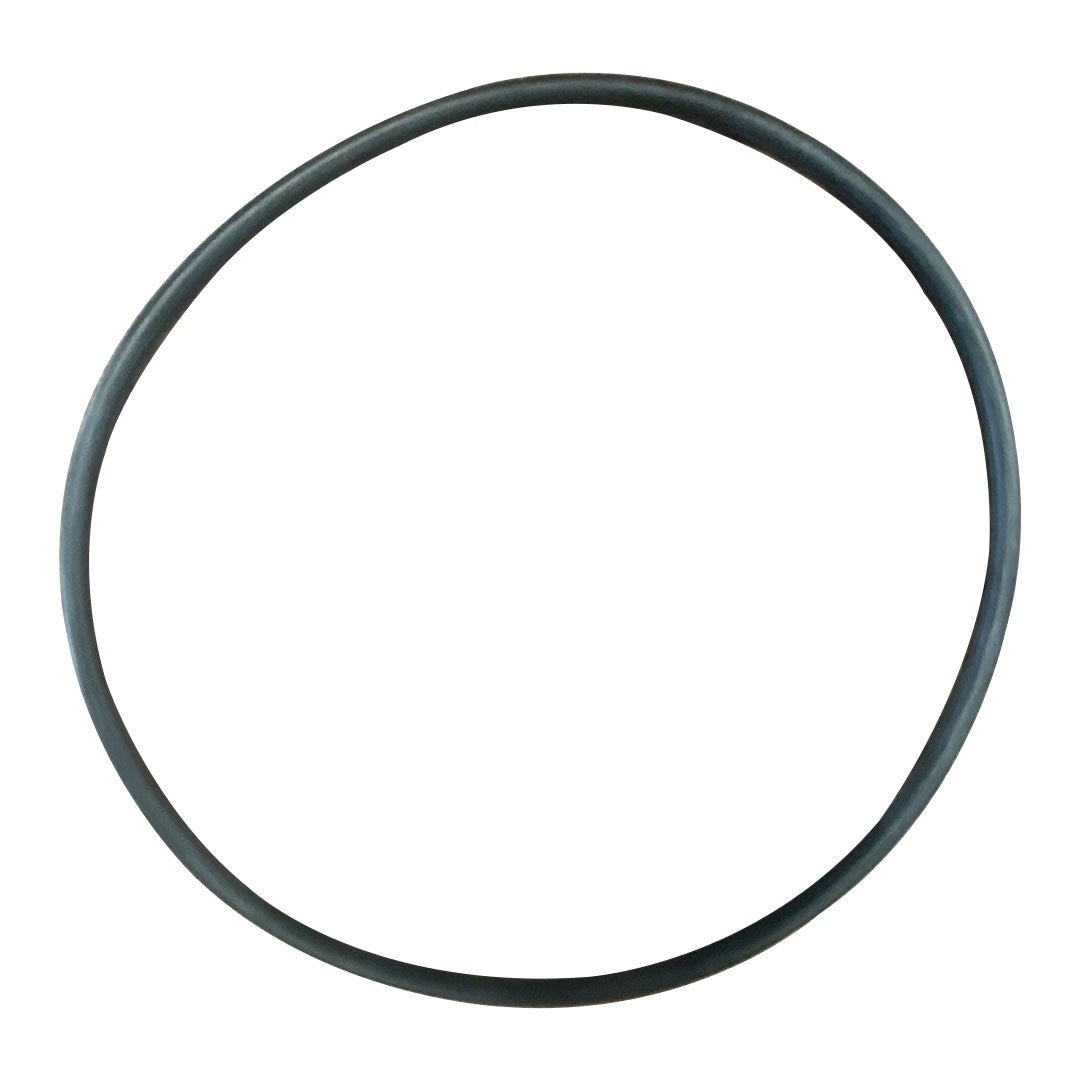 Hayward HCXP6025A Strainer Body O-Ring, product photo on white background