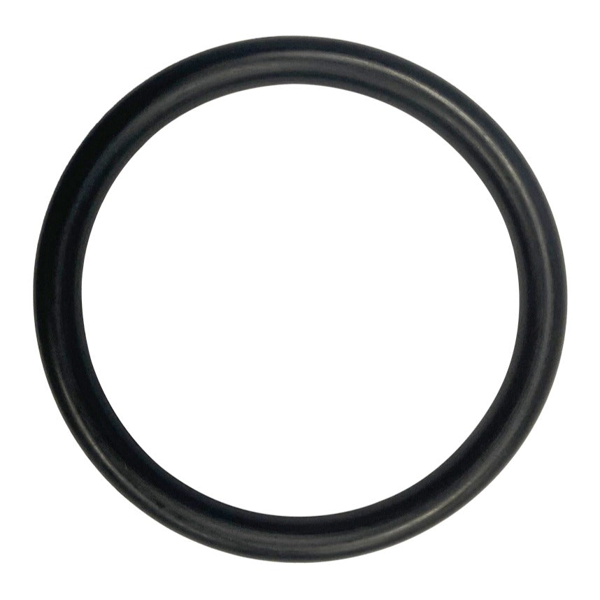Hayward SPX0410Z2 O-Ring, product photo on white background