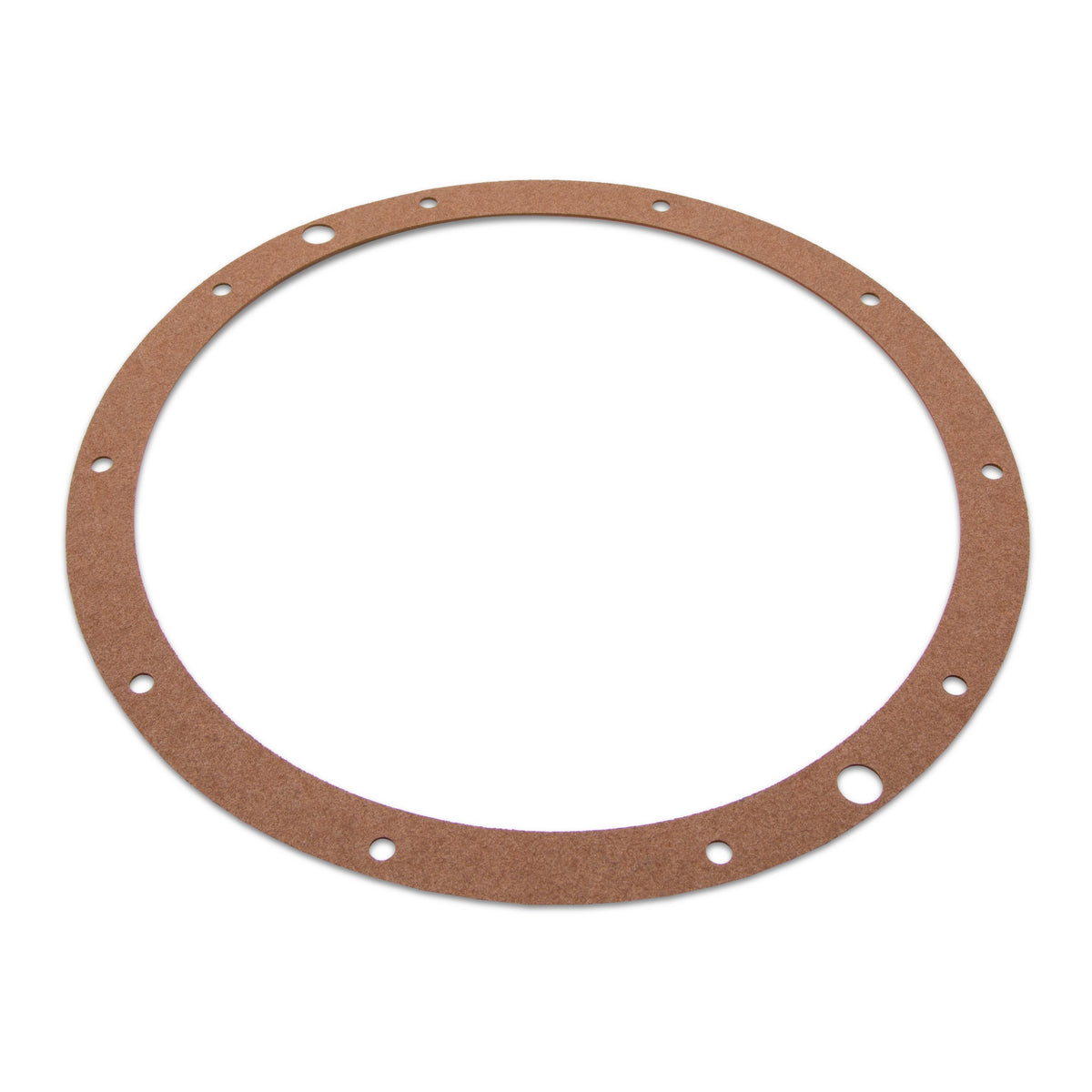 Hayward SPX0506D Gasket, product photo on white background