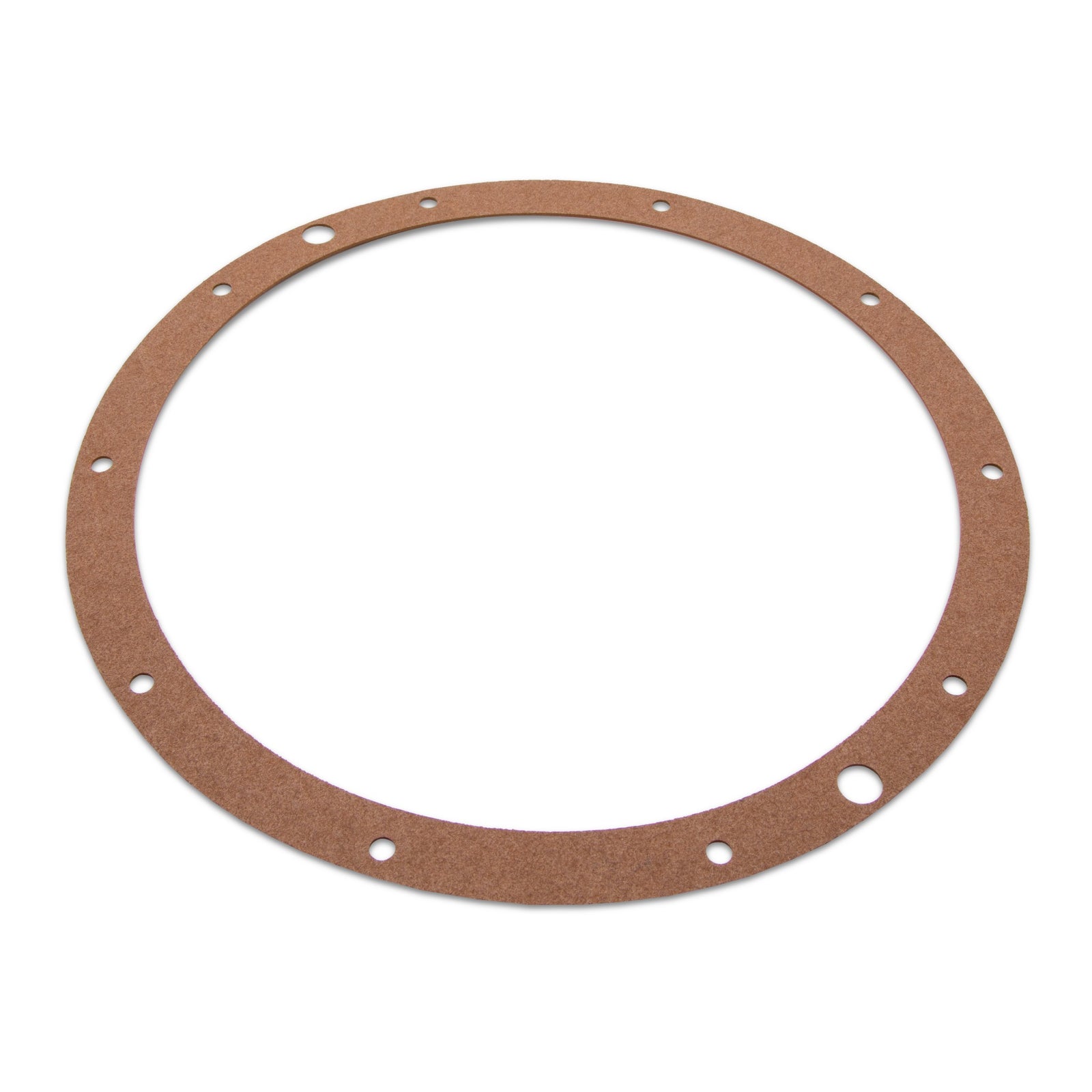Hayward SPX0506D Gasket, product photo on white background