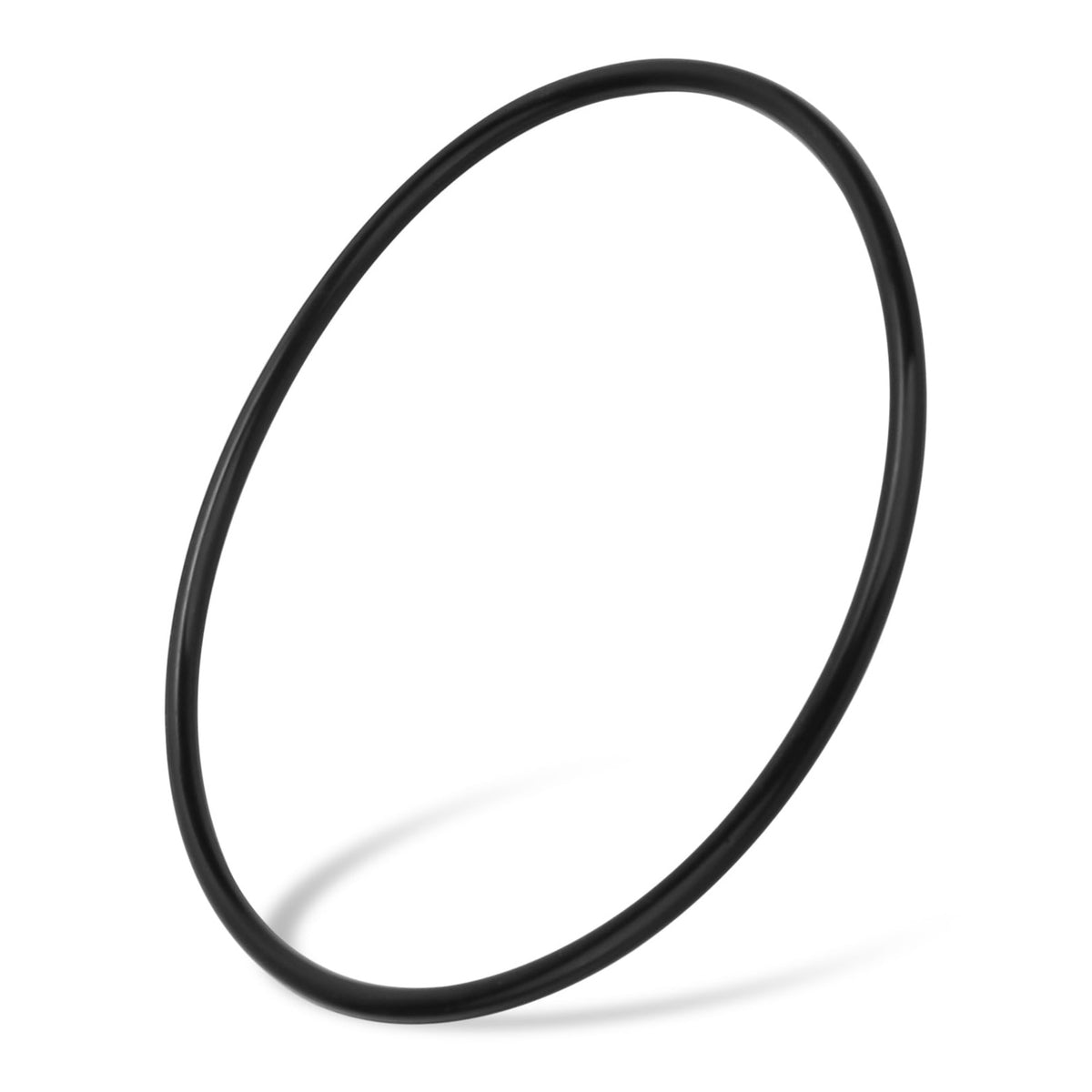 Hayward SPX0714L Cover O-Ring, product photo on white background