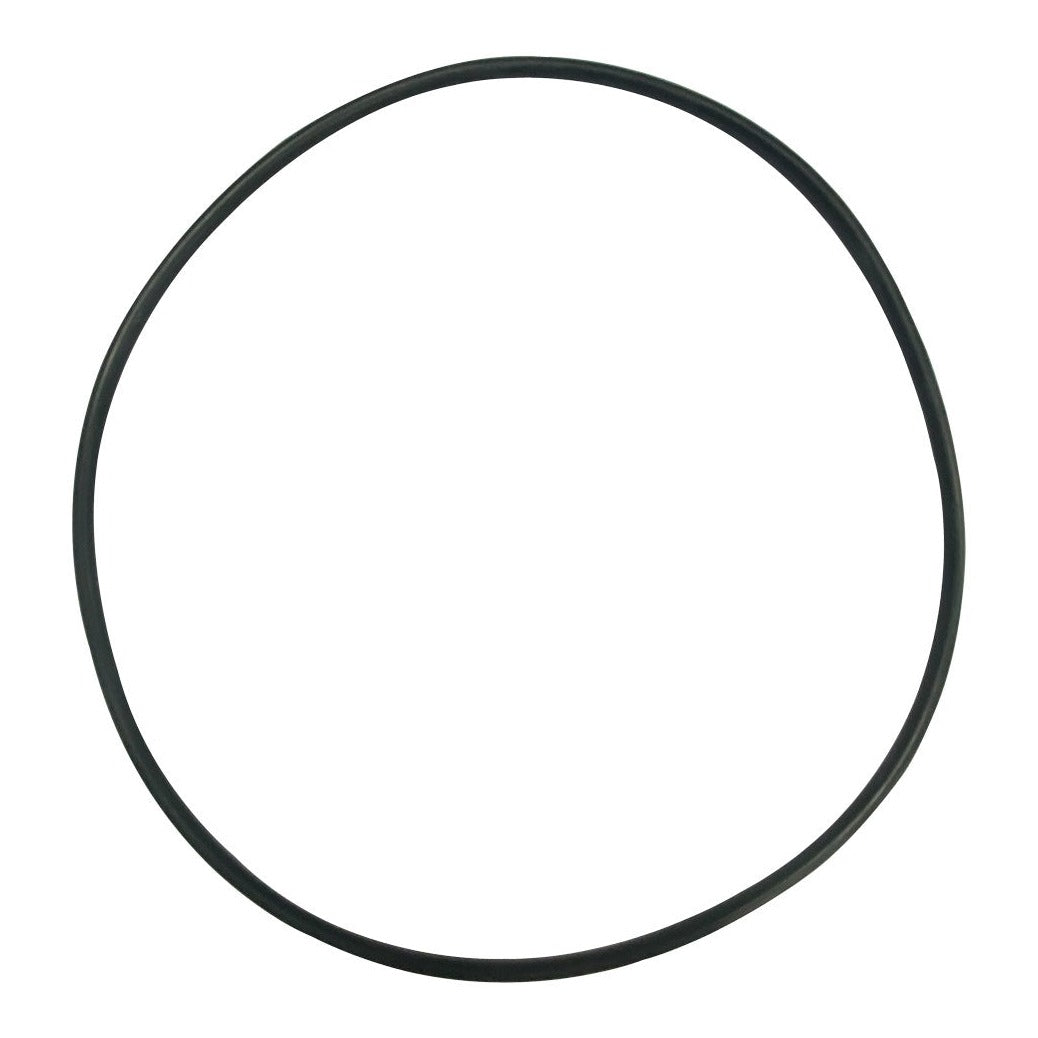 Hayward SPX0715Z1 Cover O-Ring, product photo on white background