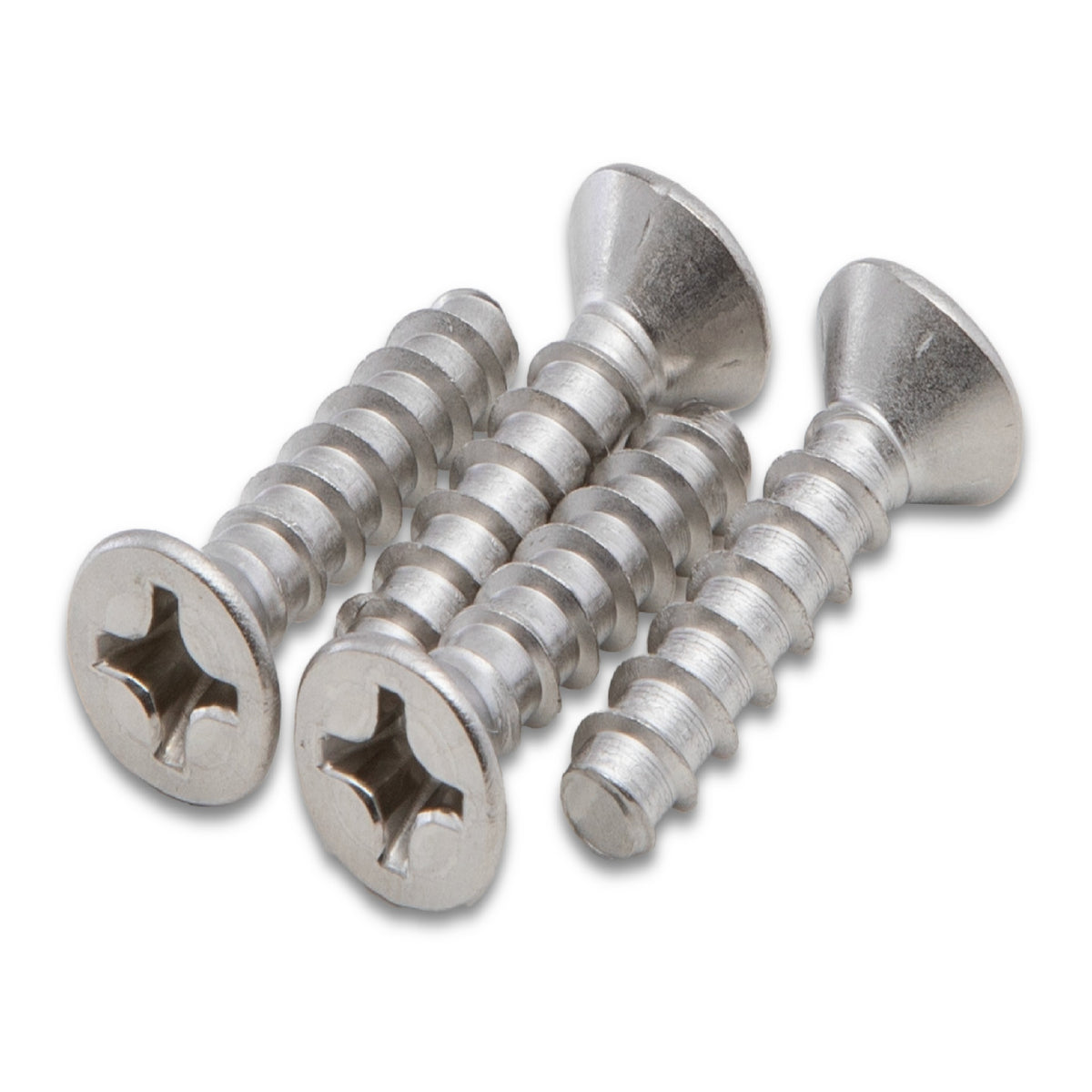 Hayward SPX1039Z1A Screw Set, (SP1039Z1), product photo on white background
