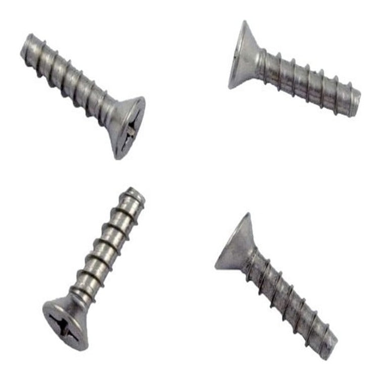 Hayward SPX1039Z1F Screw Set, product photo on white background
