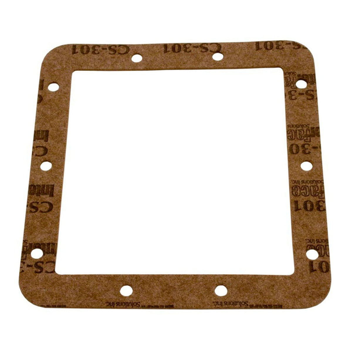 Hayward SPX1099E Gasket, product photo on white background
