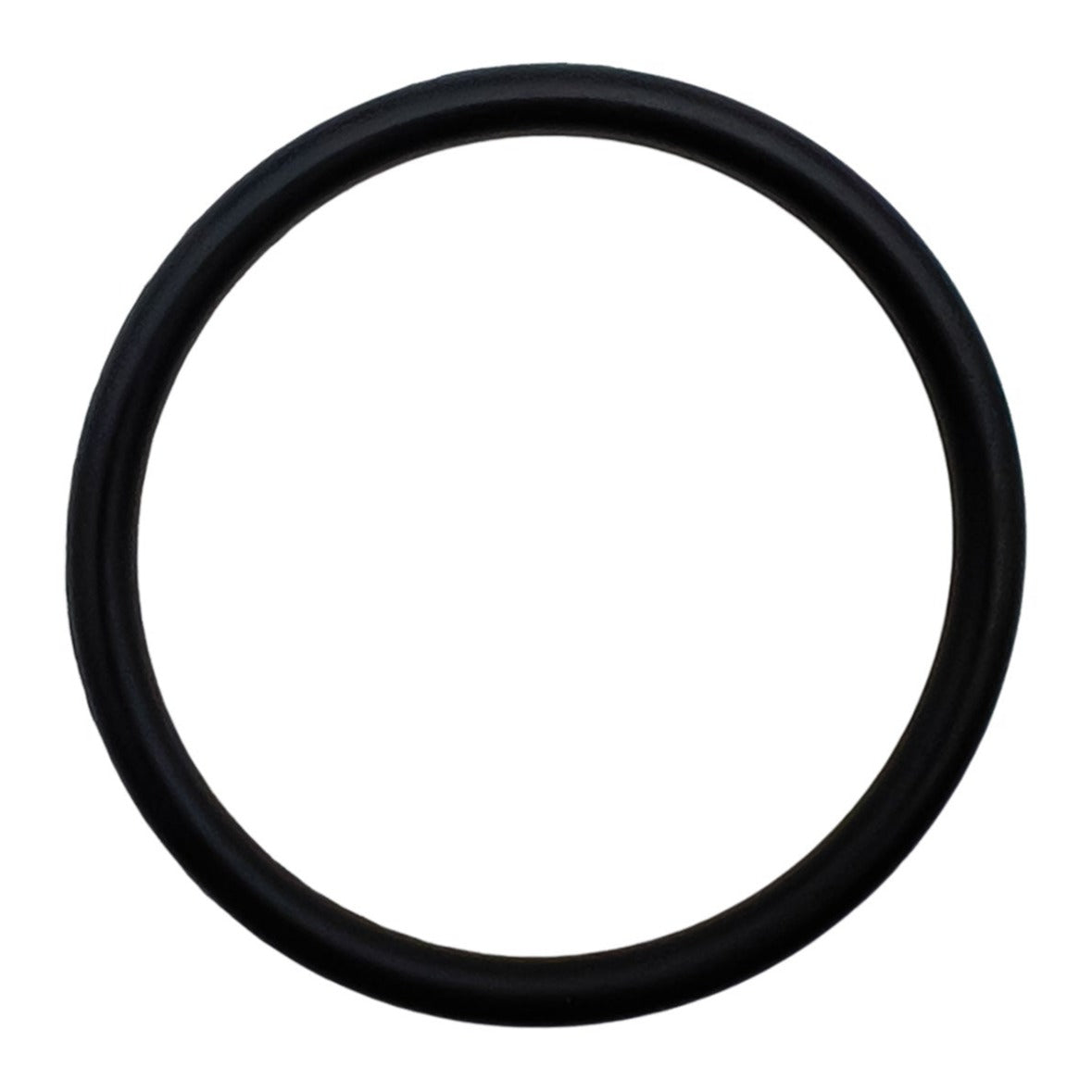 Hayward SPX1483C O-Ring, product photo on white background