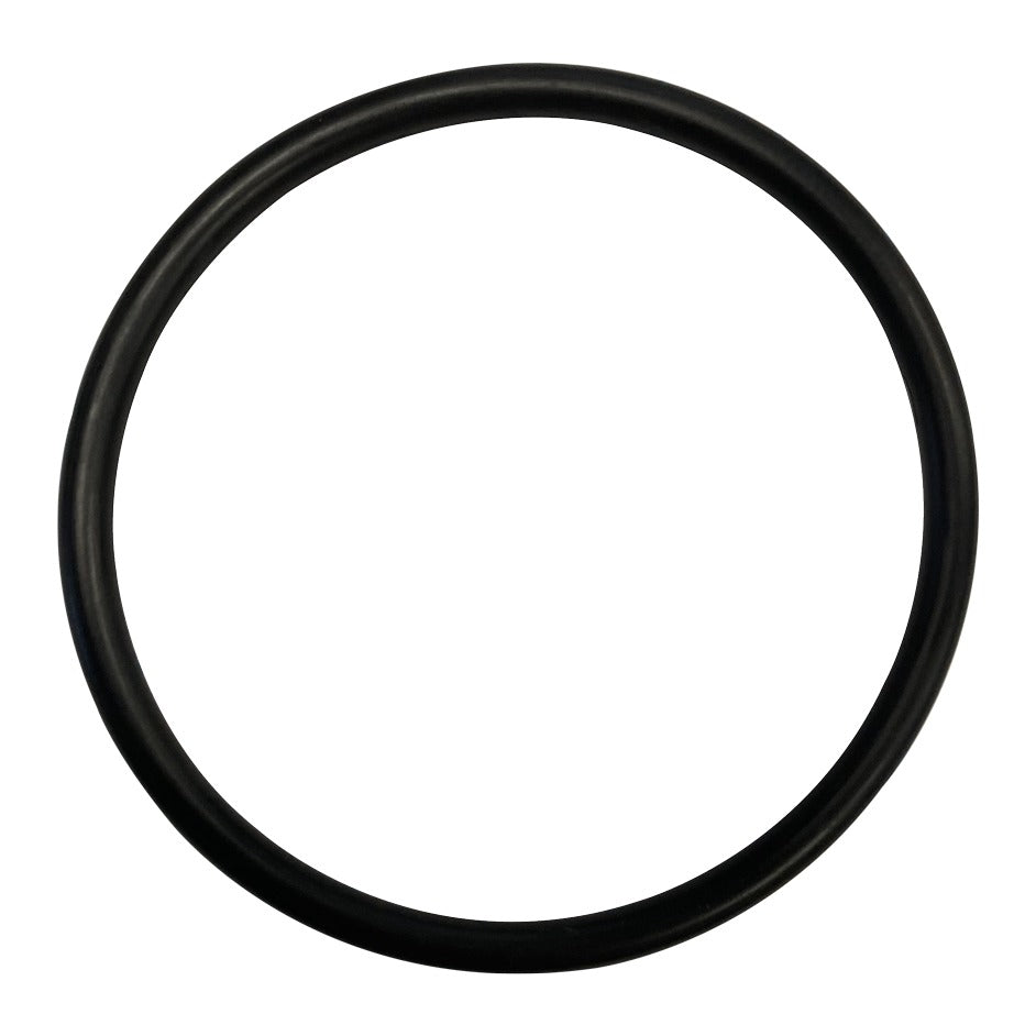 Hayward SPX1491B O Ring 129, product photo on white background