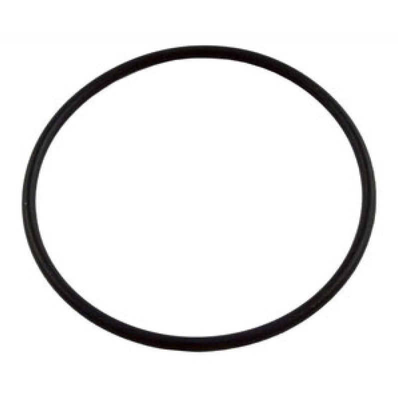 Hayward SPX1495Z1 O-Ring, product photo on white background