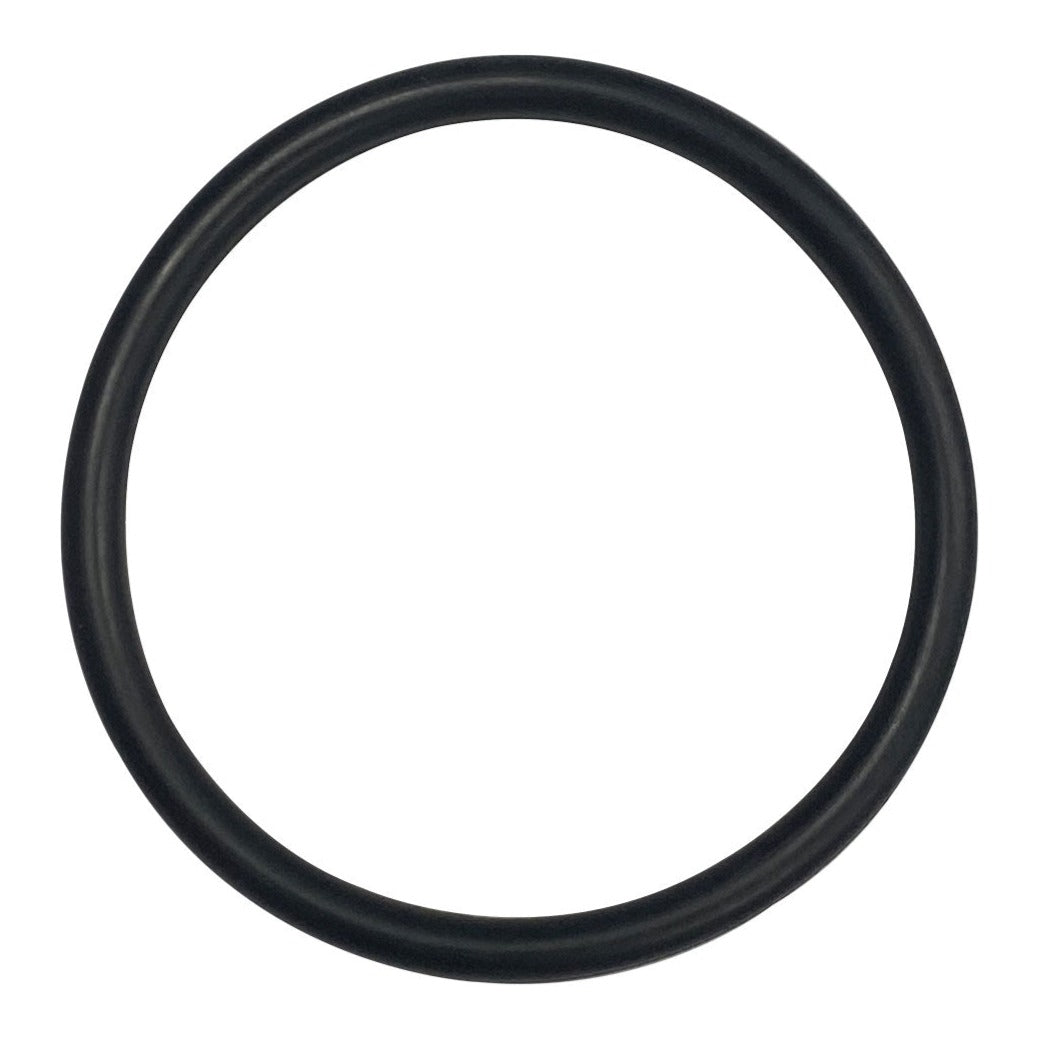 Hayward SPX1500M O Ring, product photo on white background