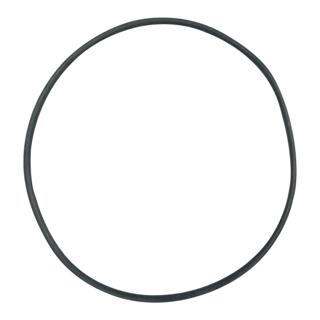 Hayward SPX1580Z1 Housing O-Ring, product photo on white background