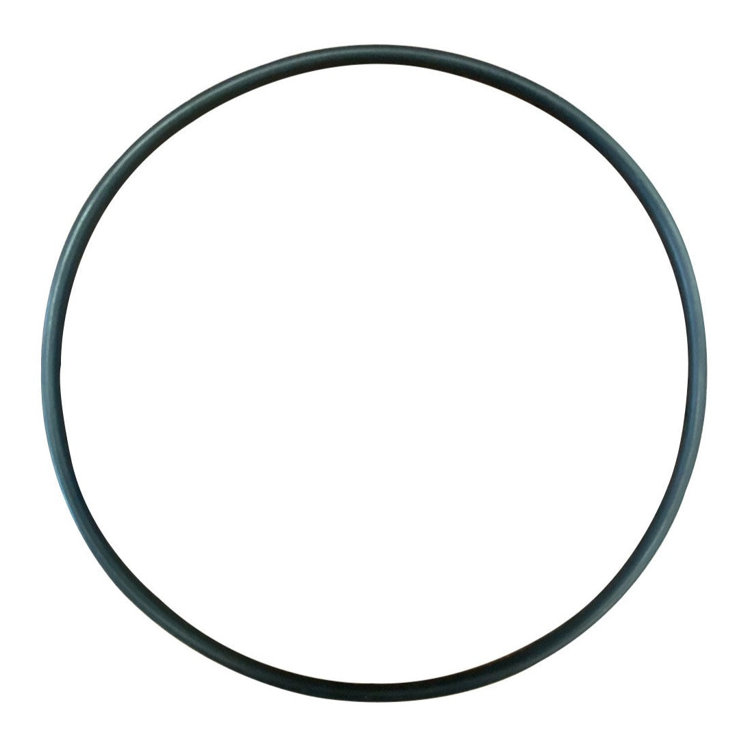 Hayward SPX1705Z1 Housing O-Ring Gasket, product photo on white background