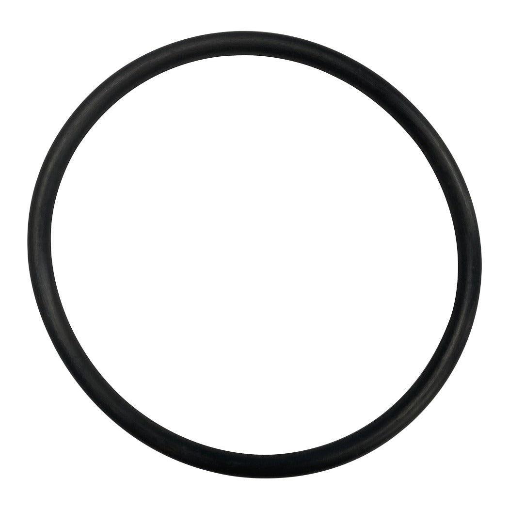 Hayward SPX2300Z4 O-Ring, Strainer Cover, product photo on white background