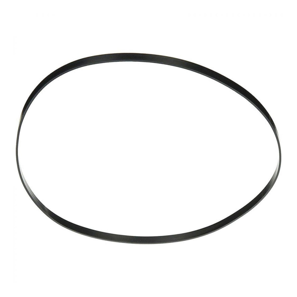 Hayward SPX3000T Housing Gasket, product photo on white background