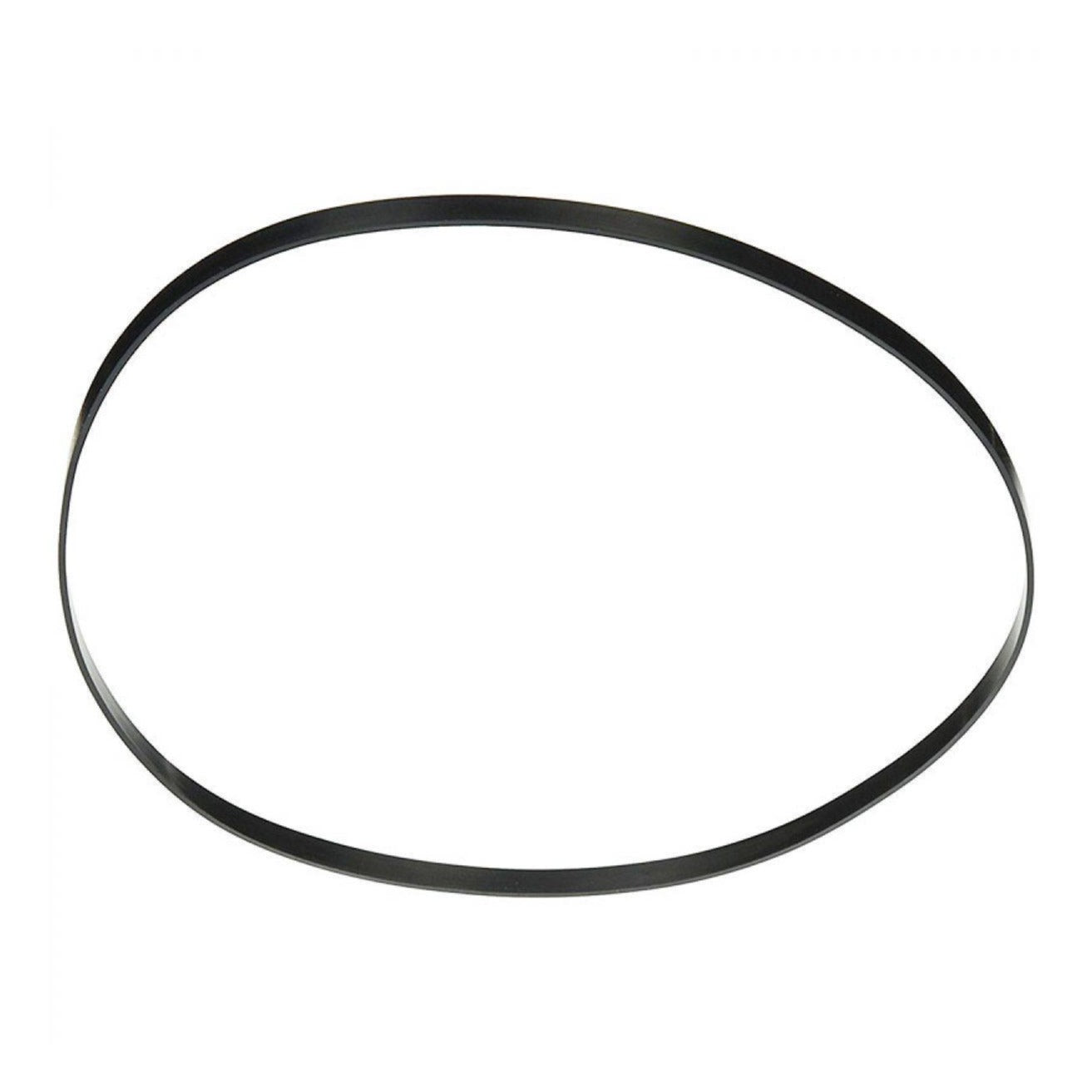 Hayward SPX3000T Housing Gasket, product photo on white background