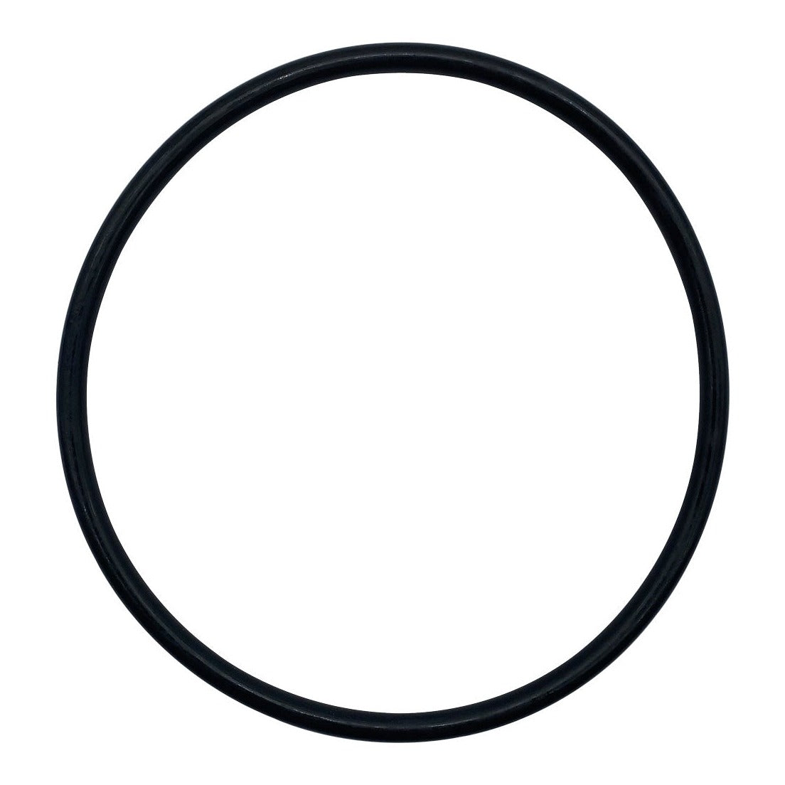 Hayward SPX3200S O-Ring-Strainer Cover, product photo on white background