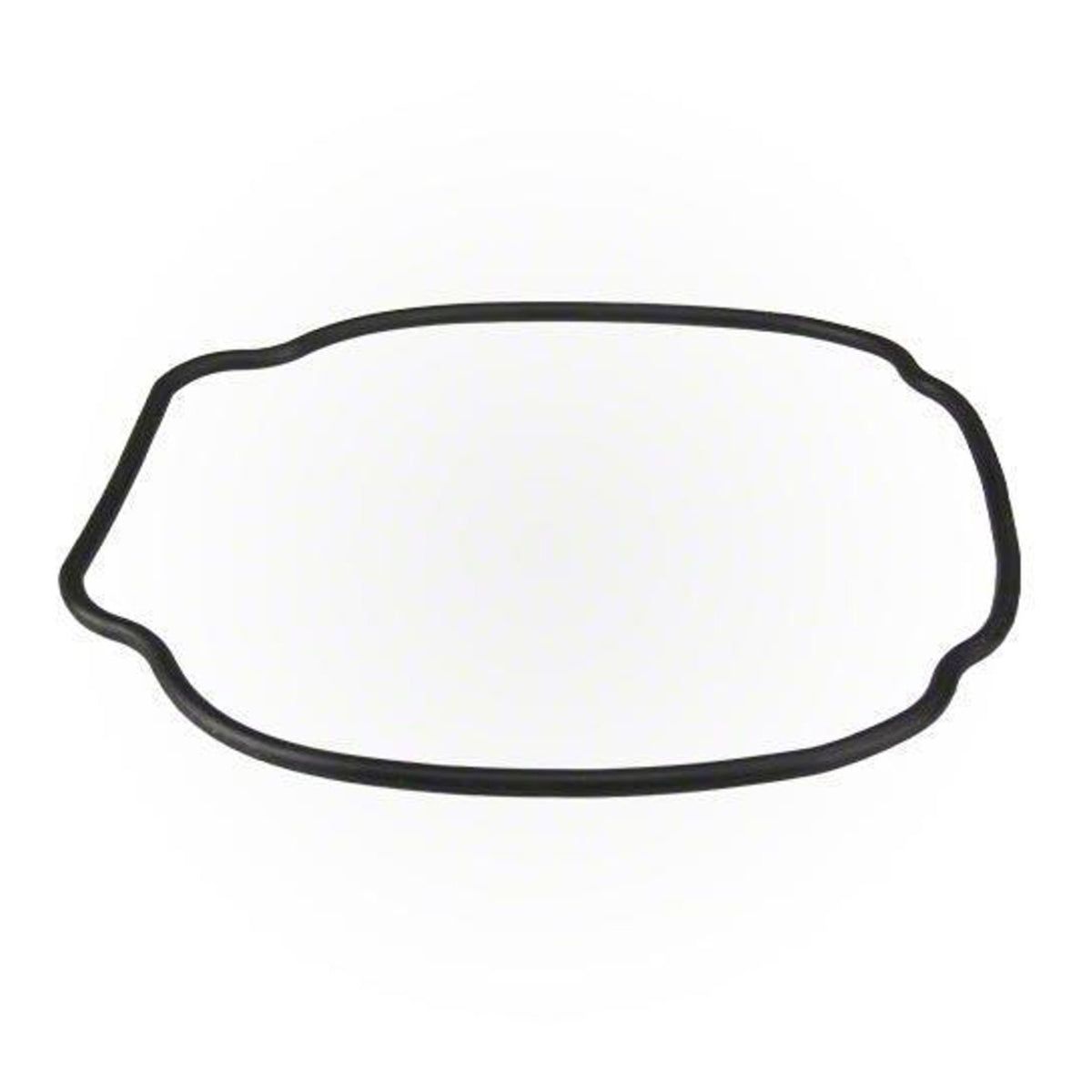 Hayward SPX3200T O-Ring-Housing, product photo on white background