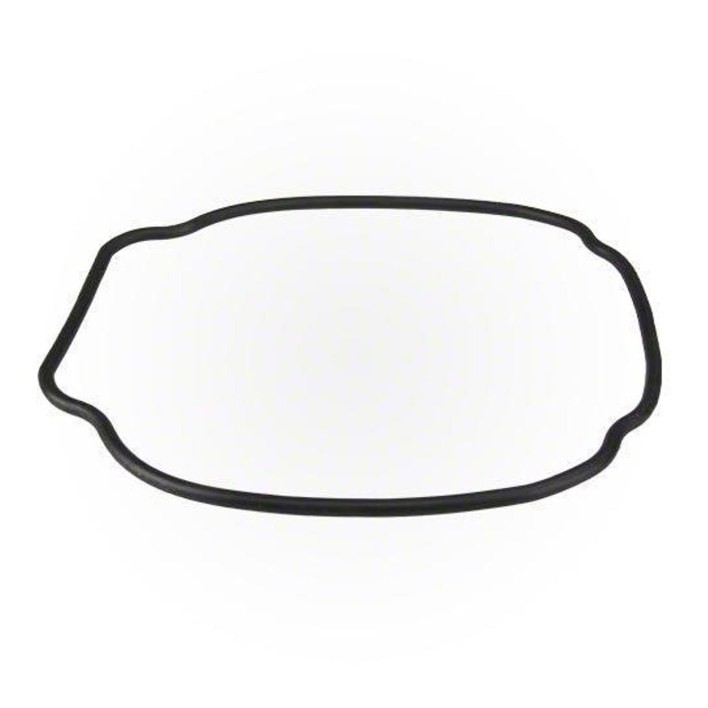 Hayward SPX3200T O-Ring-Housing, product photo on white background