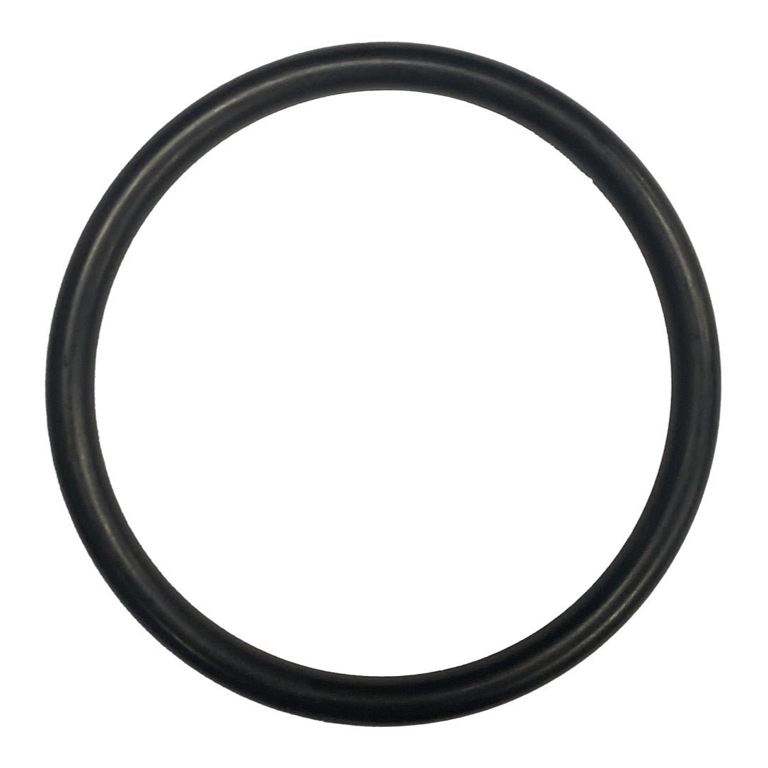Hayward SX220Z2 Large, O, Ring, product photo on white background