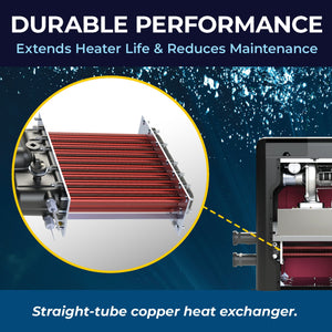 Raypak AVIA straight-tube copper heat exchanger
